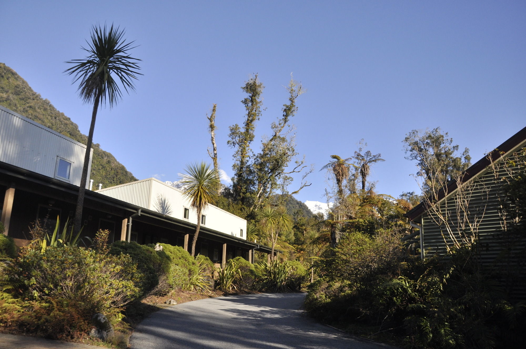 Punga Grove Motel Franz Josef Exterior foto